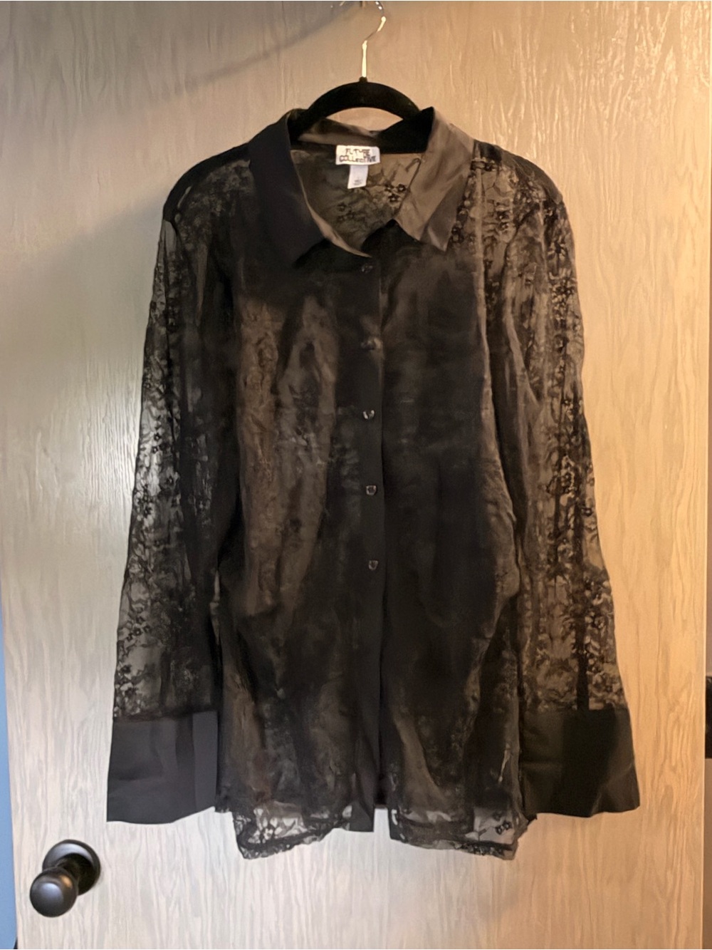 Sheer Lace Long-Sleeve Button-Up Blouse - Black